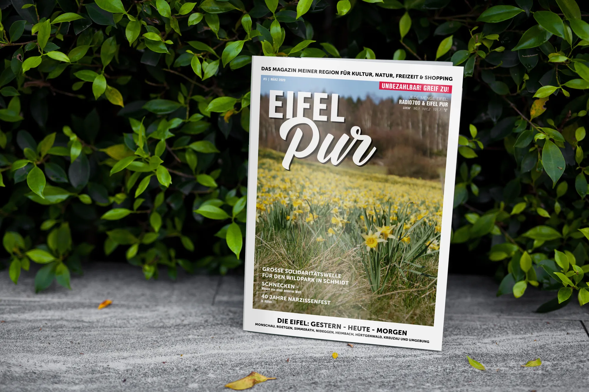 Eifel Pur Ausgabe 5 — Cover mit Narzissenfeld, Frühlingsausgabe, Editorial Design von Emrach aus Aachen