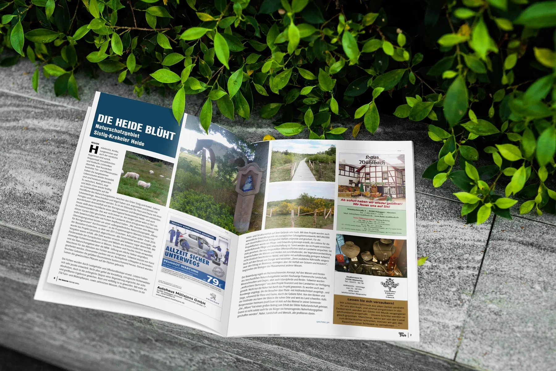 Eifel Pur Ausgabe 8 — Cover-Mockup in zweiter alternativer Natur-Variante, Editorial Design von Emrach aus Aachen