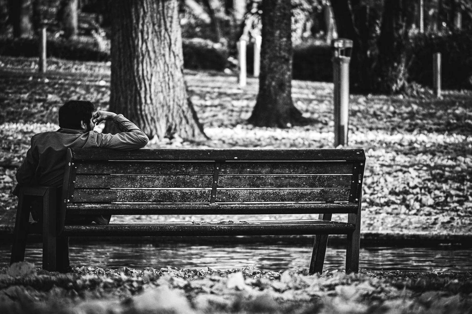 Street-Photography Aachen — Parkbank im Gegenlicht, dokumentarisch mit Nikon Z50 II, Herbst 2025, von Emrach aus Aachen